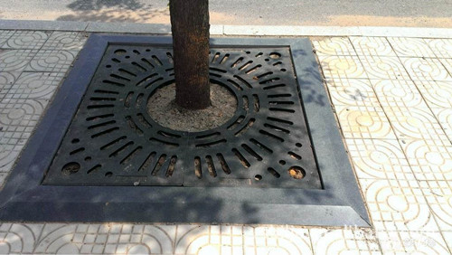  復(fù)合材料護(hù)樹(shù)板的施工案例